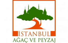 İstanbul Agaç ve Peysaj